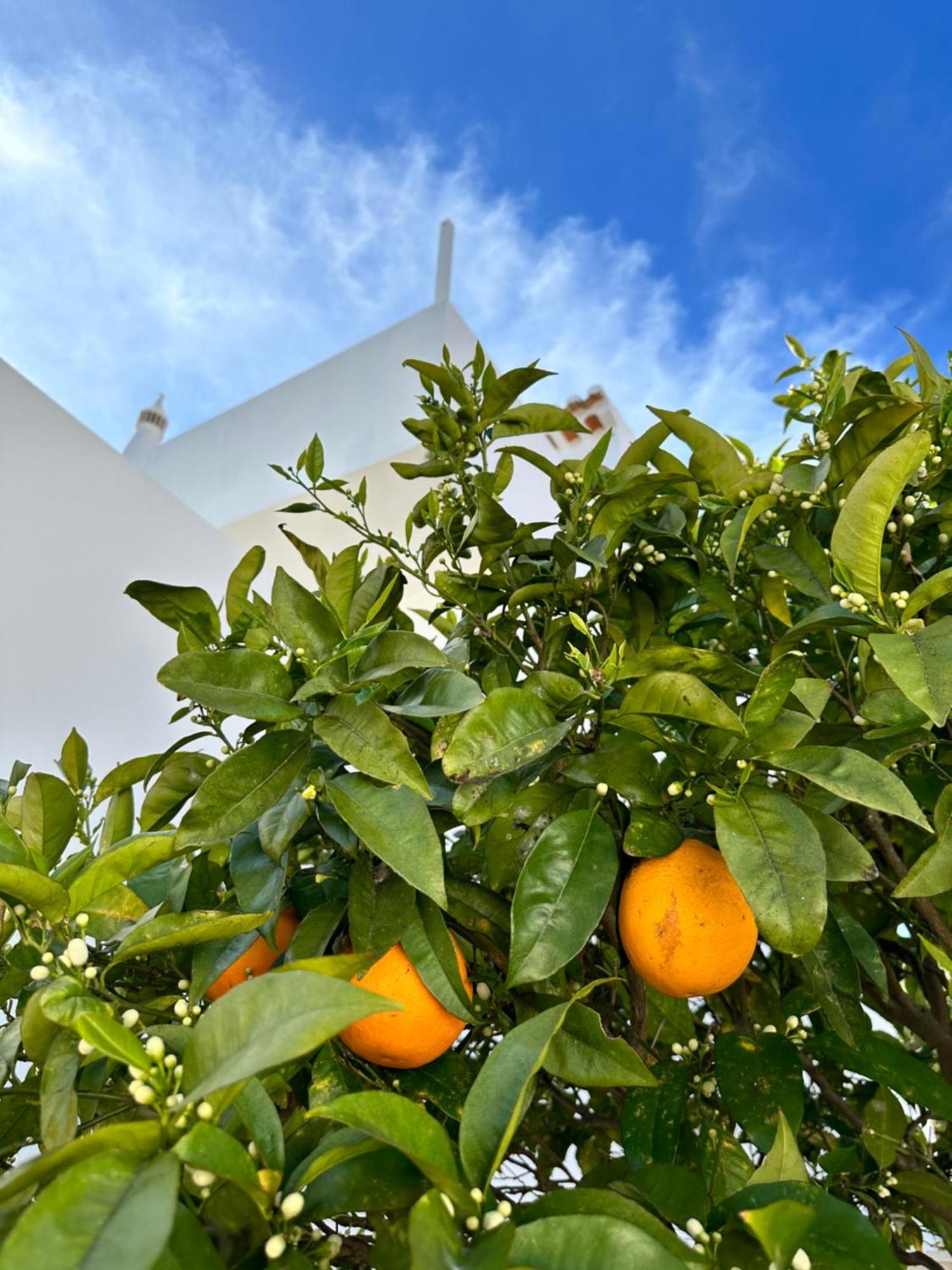 Casa Malia Luxury Guest House Luz Exteriér fotografie